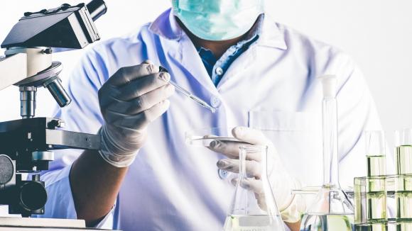 Bayer i Atara Biotherapeutics rozpoczynają współpracę strategiczną dotyczącą terapii komórkowej nowej generacji CAR-T