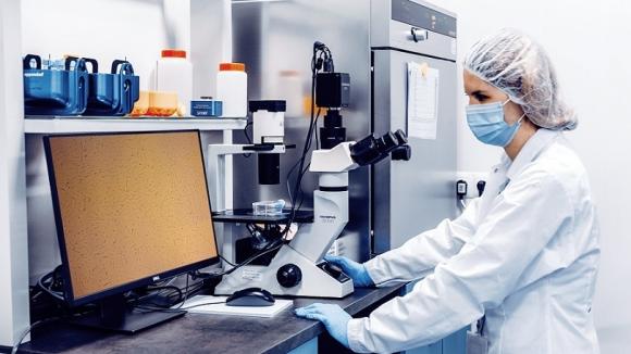 Namnażanie komórek macierzystych krwi pępowinowej nadzieją dla chorych na nowotwory