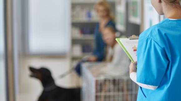 Sprzedaż leków weterynaryjnych bez recepty (OTC) w Internecie jest już możliwa