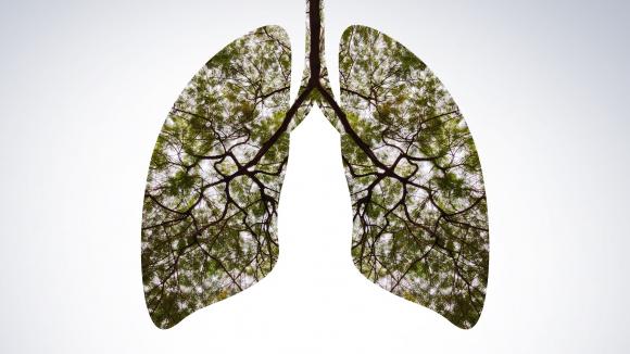ESMO: Zanieczyszczenie powietrza może prowadzić do raka płuc u osób nigdy niepalących