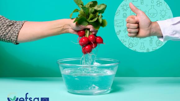 #EUChooseSafeFood startuje ponownie z większą liczbą krajów na pokładzie!