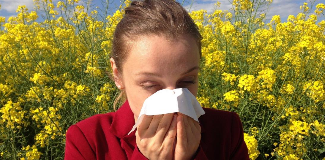 Alergia - fakty i mity