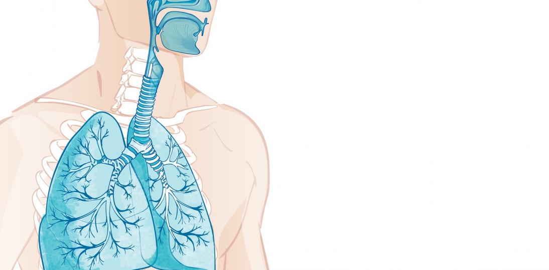 Oddech dla Zdrowia. Jak fizjoterapia pomaga zwalczać choroby układu oddechowego?