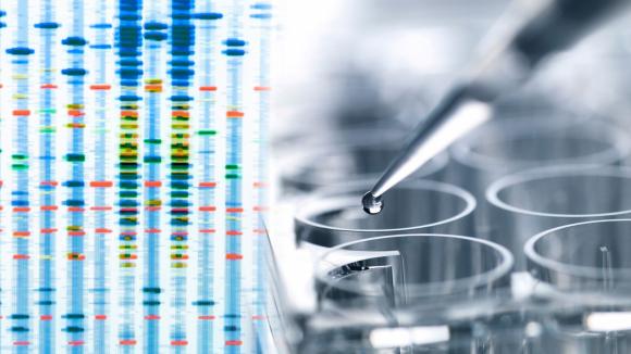 DNA Medical Group poszerza dostępność zaawansowanych badań genetycznych w Polsce