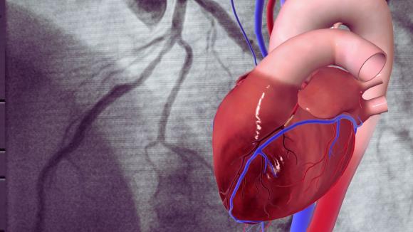 Nowe kompetencje kardiologów, lepsze możliwości dla największej grupy chorych