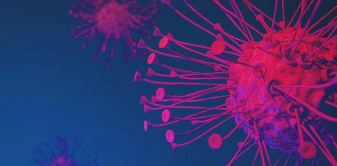 ABM przekaże 100 mln na leczenie nowotworów przełomową terapią CAR-T cells