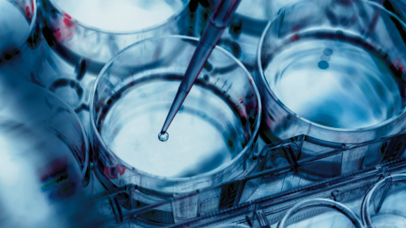 Biotechnologiczna rewolucja w UE coraz bliżej. Polska może na niej zyskać