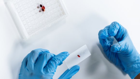Nowoczesne terapie w hematologii zmieniają standard leczenia. Eksperci: liczy się nie tylko skuteczność, ale też bezpieczeństwo