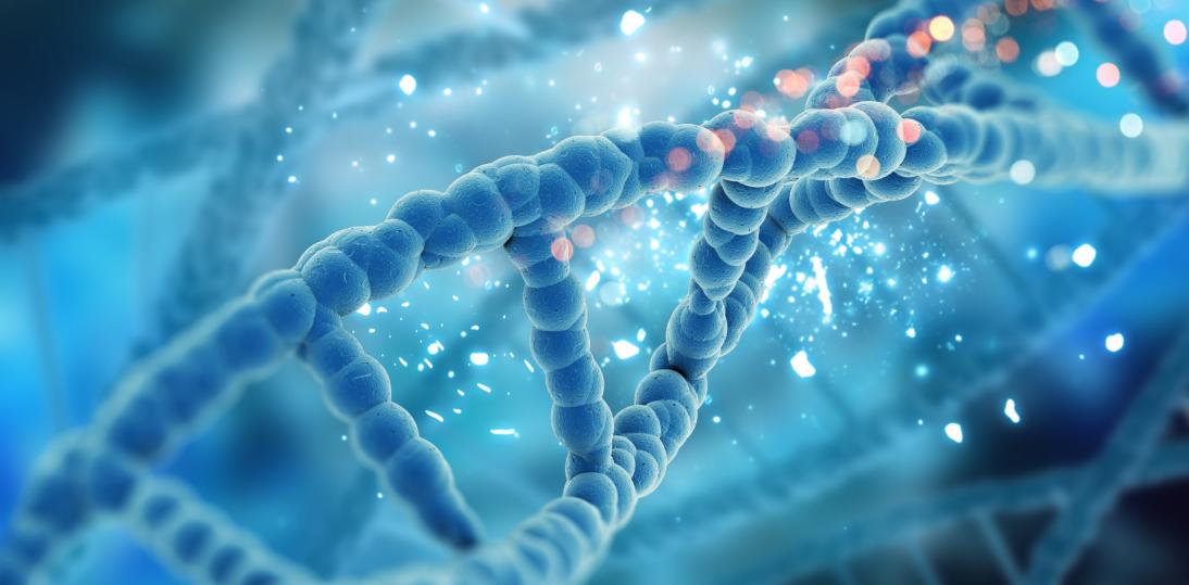 Nowy enzym odkryty przez polskich naukowców może zmienić nasze rozumienie metabolizmu DNA i RNA