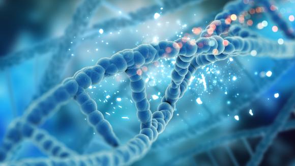 Nowy enzym odkryty przez polskich naukowców może zmienić nasze rozumienie metabolizmu DNA i RNA