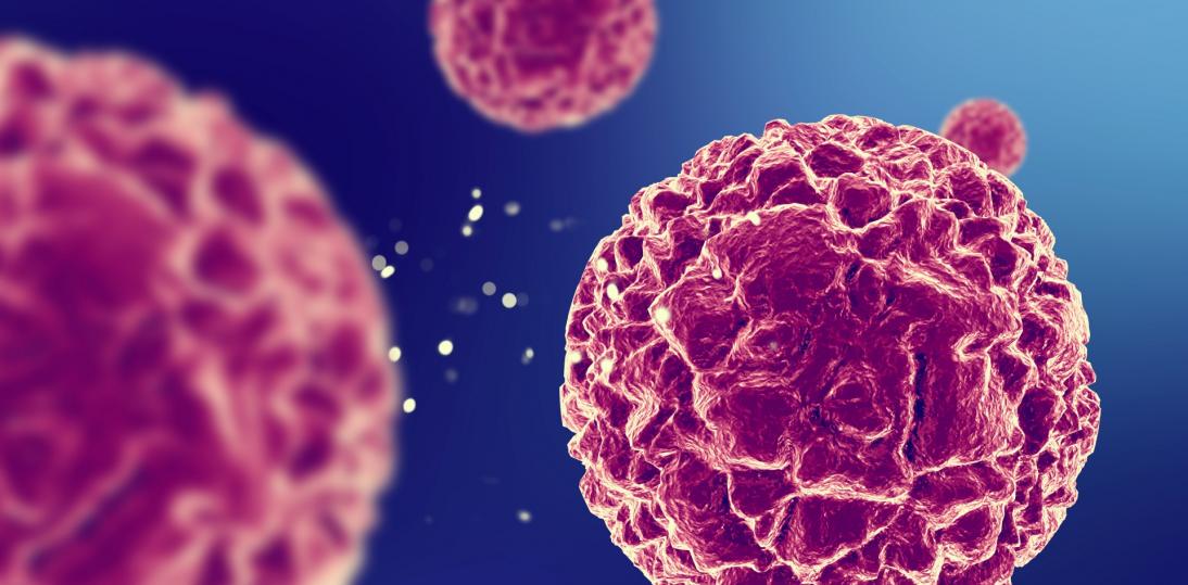 Limfocyty, które uczą układ odpornościowy pokory. Nobel 2025 z perspektywy onkologii