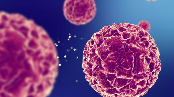 Limfocyty, które uczą układ odpornościowy pokory. Nobel 2025 z perspektywy onkologii