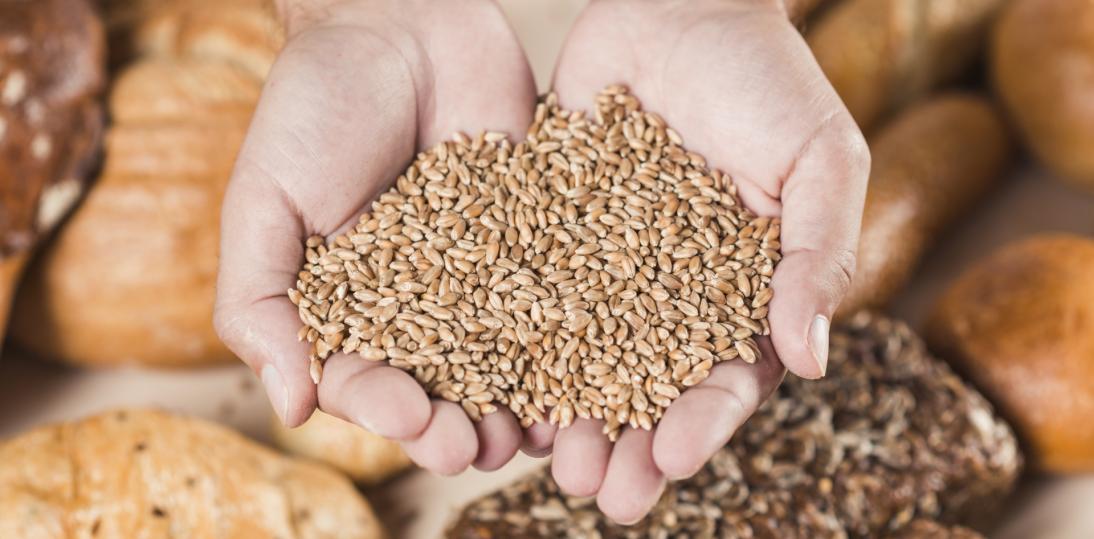 Dieta bezglutenowa bez mitów. Kiedy jest konieczna, jak zacząć i jak ją dobrze zbilansować