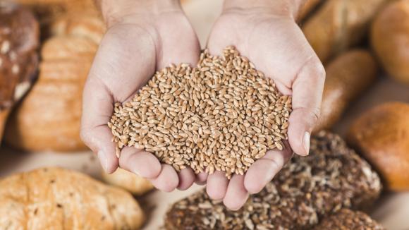 Dieta bezglutenowa bez mitów. Kiedy jest konieczna, jak zacząć i jak ją dobrze zbilansować