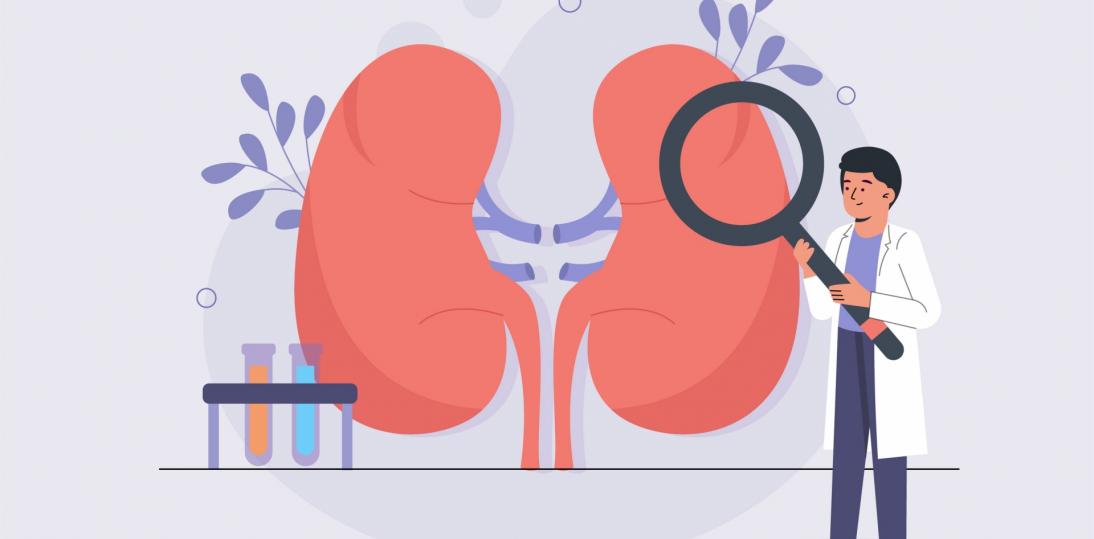 Odpowiednio zbilansowana dieta może wspomóc leczenie pacjentów z przewlekłą chorobą nerek. Z roku na rok liczba diagnozowanych osób rośnie