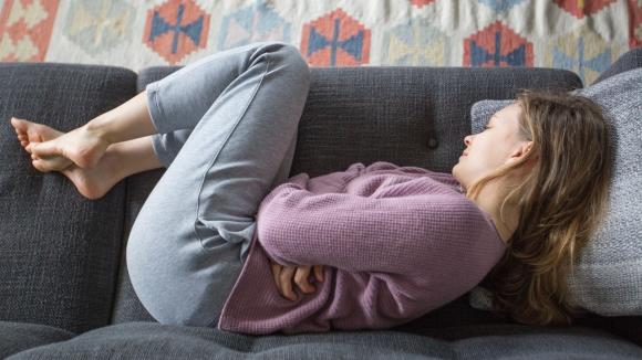 Berberyna a „leaky gut” po infekcji campylobacter jejuni – nowe badania o odbudowie bariery jelitowej