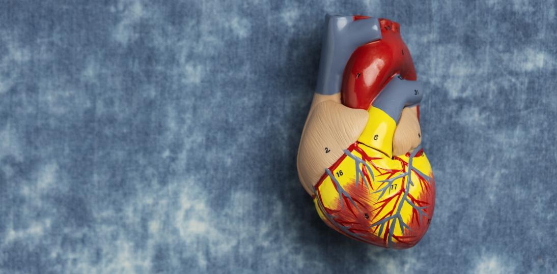 Polska technologia z wsparciem unijnych funduszy może zrewolucjonizować wymianę zastawek serca