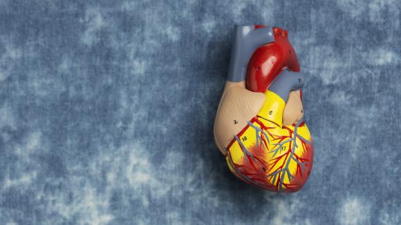 Polska technologia z wsparciem unijnych funduszy może zrewolucjonizować wymianę zastawek serca
