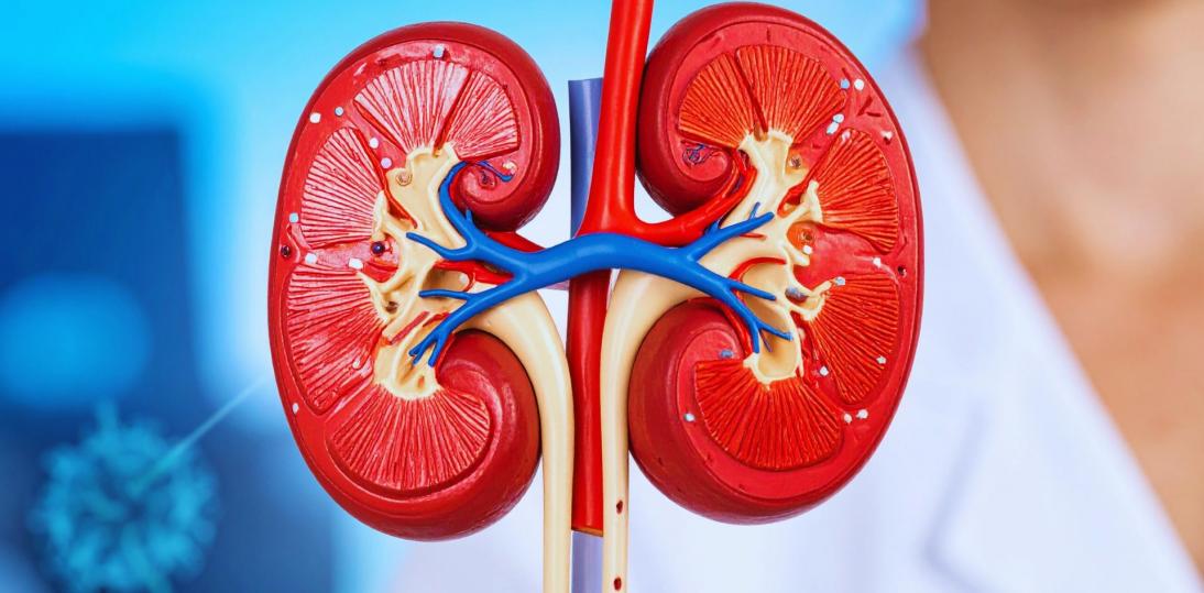 W 20 Światowym Dzień Nerek usługodawcy i pacjenci apelują o lepszą organizację systemu opieki dla pacjentów nefrologicznych w Polsce