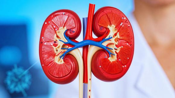 W 20 Światowym Dzień Nerek usługodawcy i pacjenci apelują o lepszą organizację systemu opieki dla pacjentów nefrologicznych w Polsce