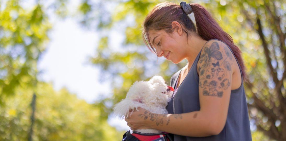 Szczecin/ Psy ratują chorych na cukrzycę; wyczuwają hipoglikemię