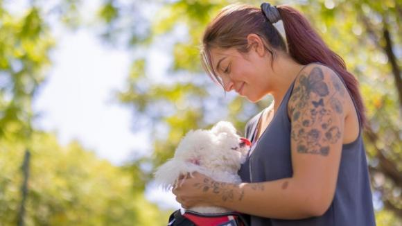 Szczecin/ Psy ratują chorych na cukrzycę; wyczuwają hipoglikemię