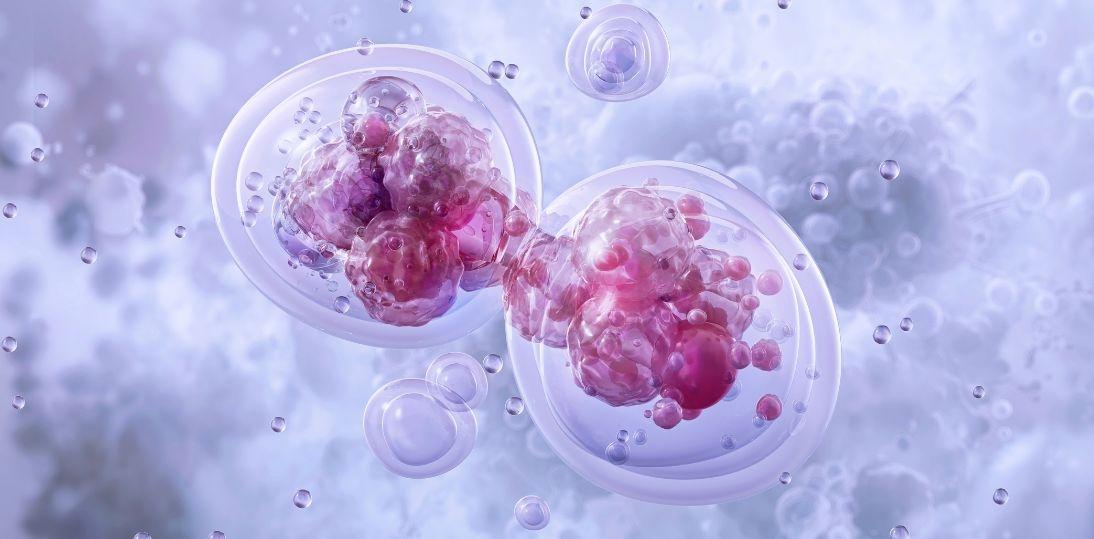 Nowy sposób osłabiania biologii guza. Podwójne hamowanie HIF może zwiększać skuteczność immunoterapii