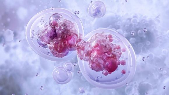 Nowy sposób osłabiania biologii guza. Podwójne hamowanie HIF może zwiększać skuteczność immunoterapii