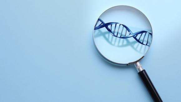 NGS w diagnostyce chorób rzadkich bliżej koszyka świadczeń. Rada Przejrzystości popiera finansowanie paneli genetycznych