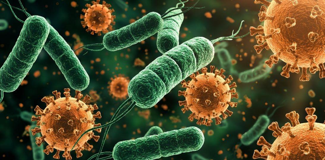 Jak wirusy przejmują kontrolę nad naszymi komórkami? Badania dr hab. Aleksandry Milewskiej pomagają lepiej zrozumieć zagrożenia