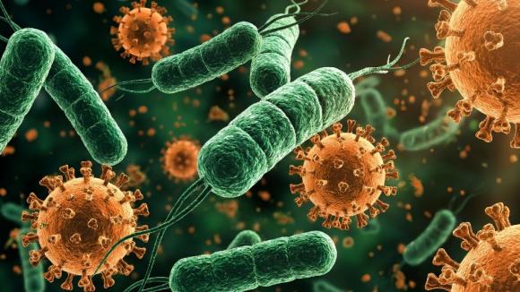 Jak wirusy przejmują kontrolę nad naszymi komórkami? Badania dr hab. Aleksandry Milewskiej pomagają lepiej zrozumieć zagrożenia