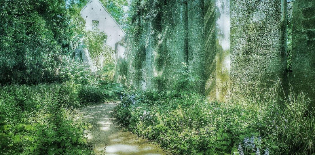 Badanie: użytkownicy psychodelików mogą inaczej przetwarzać emocje