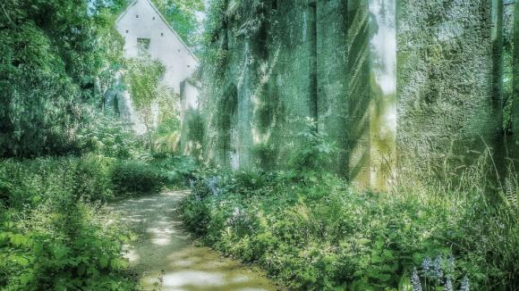 Badanie: użytkownicy psychodelików mogą inaczej przetwarzać emocje