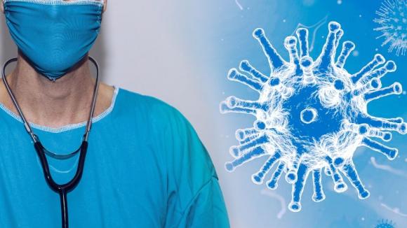 Ekspertka: hantawirusy nie stanowią obecnie zagrożenia pandemicznego na miarę COVID-19