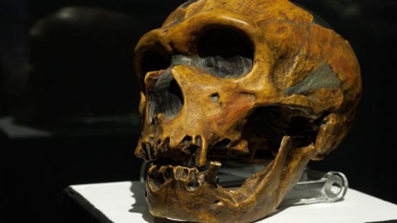 Przełom w badaniach nad neandertalczykami. Polscy naukowcy odtworzyli ich genetyczny portret