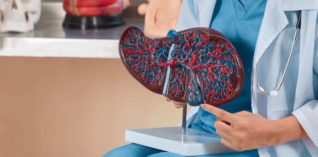 Nowy lek na otyłość i stłuszczenie wątroby. Surwodutyd pomógł schudnąć i zmniejszyć ilość tłuszczu w wątrobie