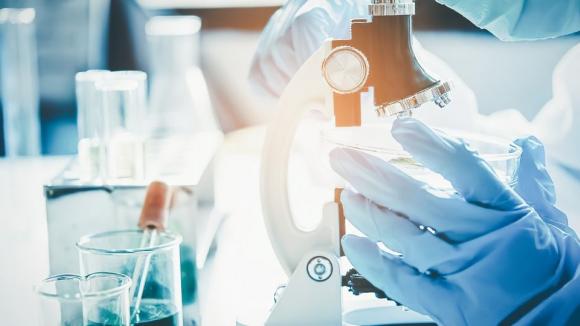Akademia Immunohistochemii 2026. Eksperci o diagnostyce, od której zależy wybór terapii nowotworów