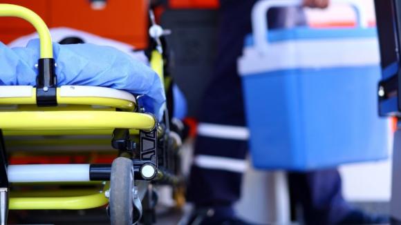 Francuski naukowiec znalazł sposób na przedłużenie przydatności narządów