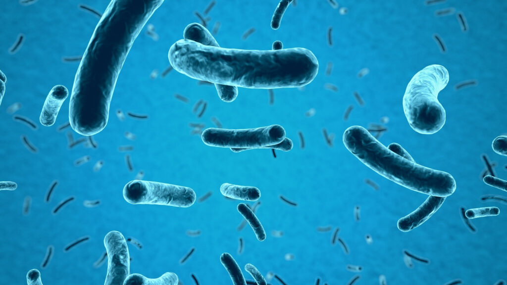 Legionella w sieci wodociągowej – w szpitalu jest 50 osób