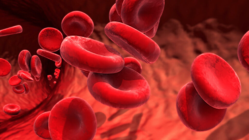Dotacja Fundacji DKMS – startuje 2. edycja inicjatywy na rzecz pacjentów hematoonkologicznych