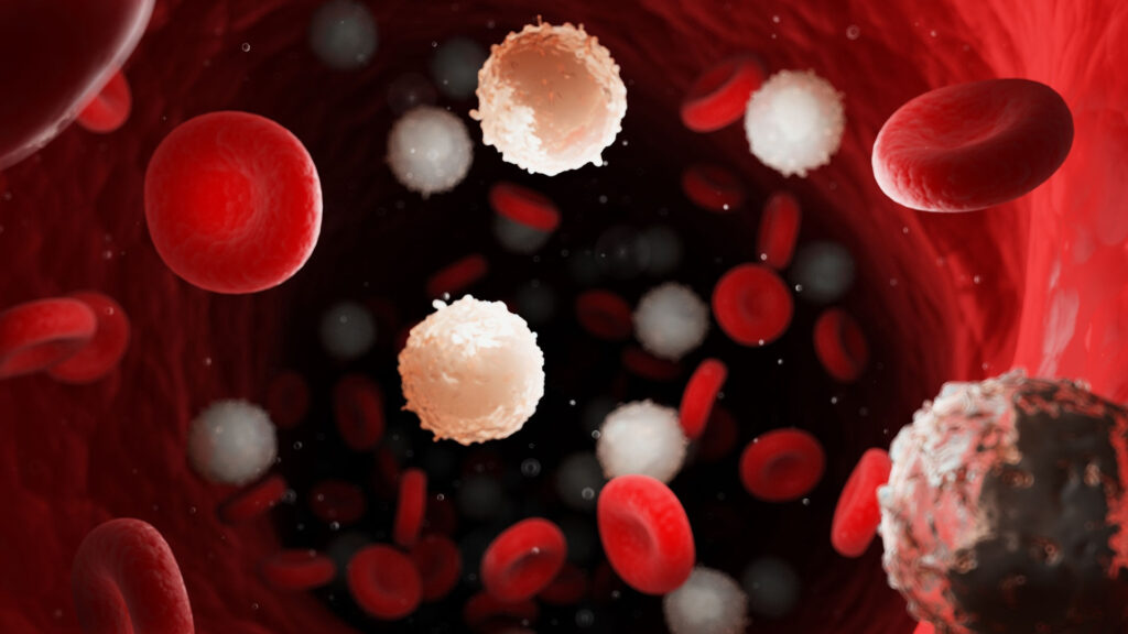 HematoKoalicja o priorytetach refundacyjnych w hematoonkologii