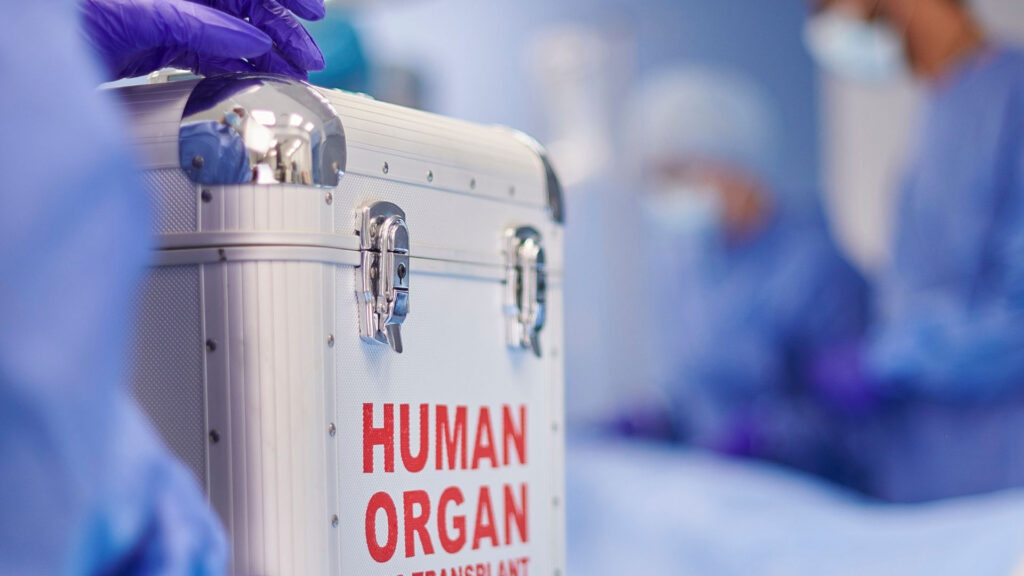 Musimy zrobić wszystko, by lepiej chronić pacjentów po transplantacjach przed powikłaniami zakażenia wirusem cytomegalii