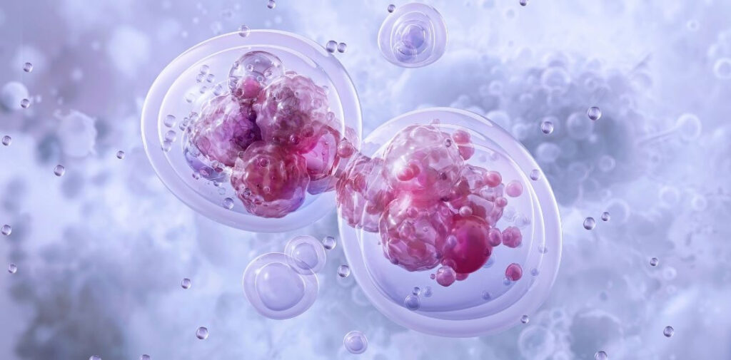 Nowy sposób osłabiania biologii guza. Podwójne hamowanie HIF może zwiększać skuteczność immunoterapii