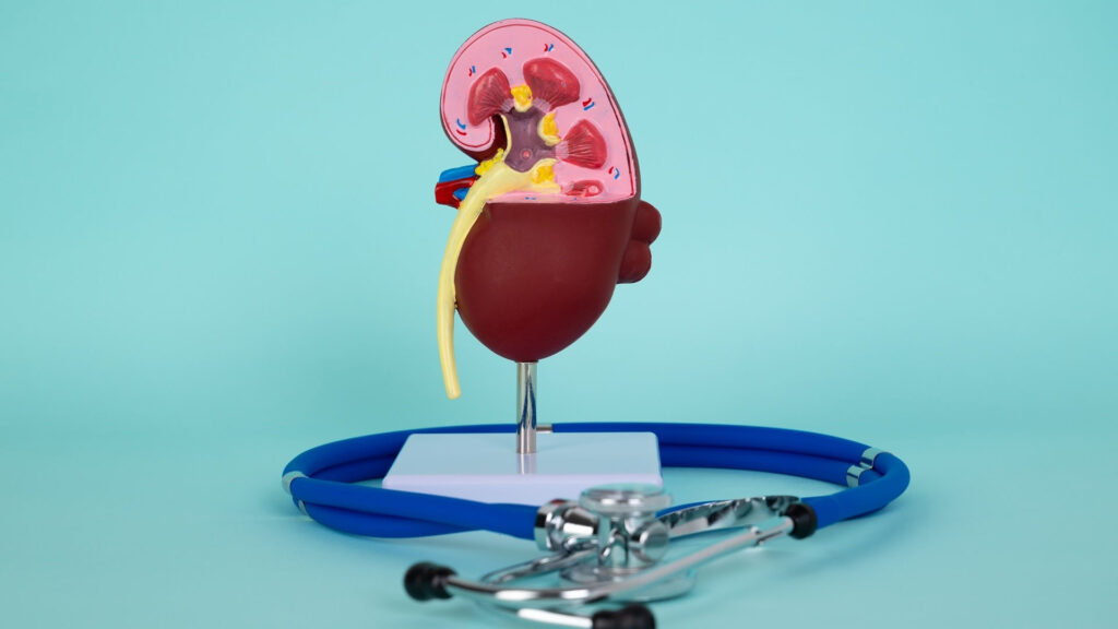 PChNijmy nefrologię do przodu – DaVita Polska apeluje o poprawę jakości leczenia osób z przewlekłą chorobą nerek