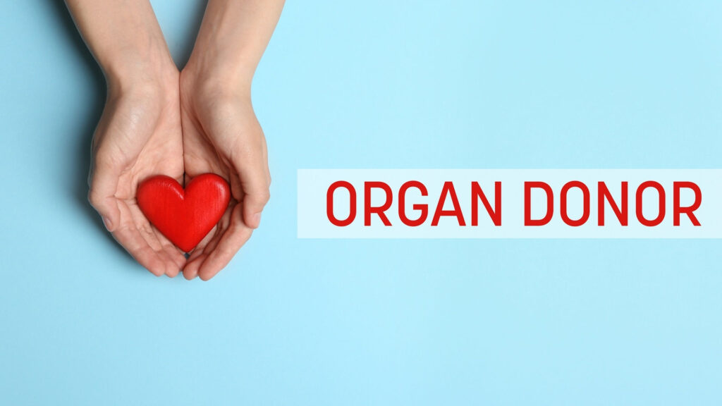 Światowy Dzień Donacji i Transplantacji – w jakim stanie jest polska transplantologia?