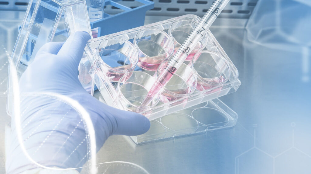 Badania kliniczne ważną częścią innowacyjnej gospodarki
