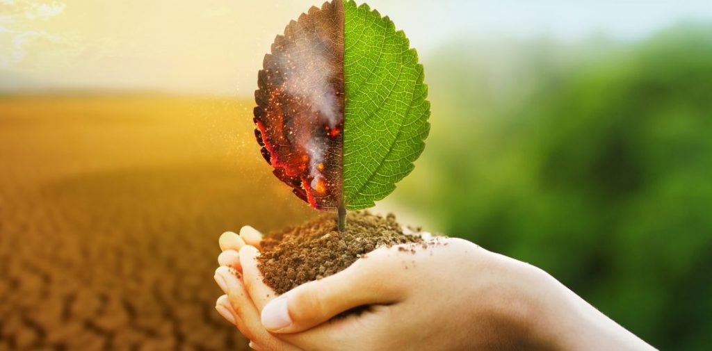 Zmiana klimatu coraz bardziej zagraża zdrowiu. WHO: nawet 25 proc. chorób w Europie ma związek ze środowiskiem