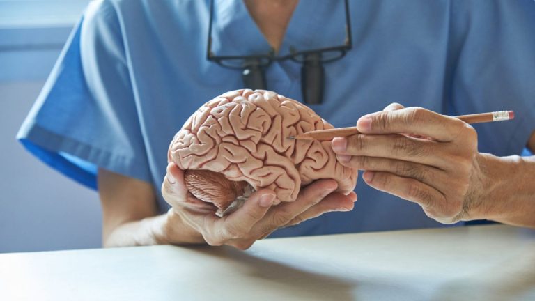 Światowy Dzień Mózgu: dlaczego zdrowie zaczyna się w jelitach? O niezwykłych połączeniach na osi jelita–mózg