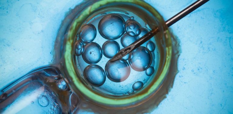 Która komórka jajowa ma największe szanse? Polskie naukowczynie wykorzystały holotomografię do poprawy skuteczności in vitro